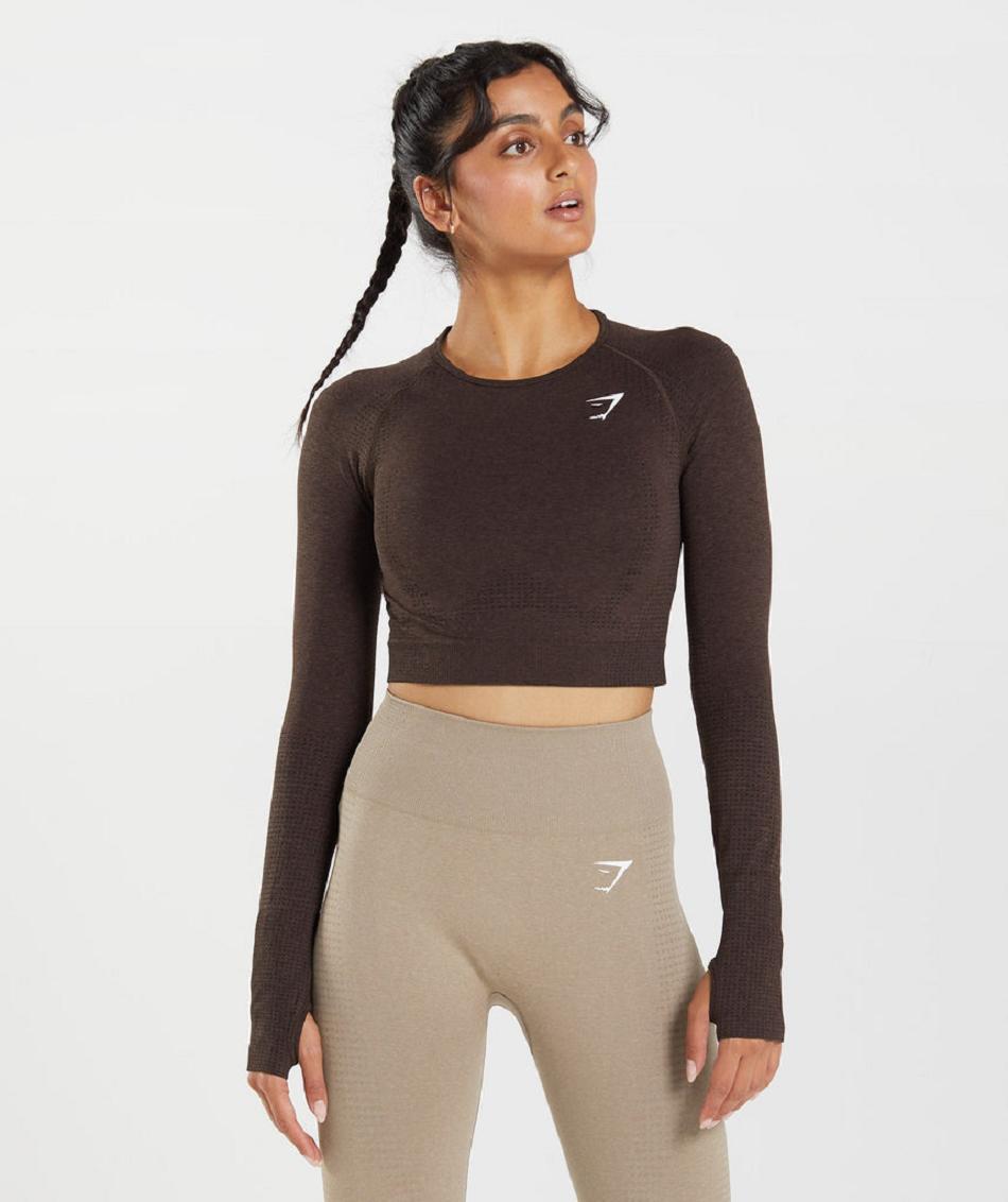 Corp Tops Gymshark Vital Seamless 2.0 Mujer Rosas Marrones | CO 2409YXF